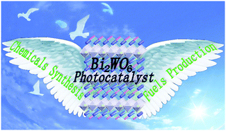 Graphical abstract: Nanochemistry-derived Bi2WO6 nanostructures: towards production of sustainable chemicals and fuels induced by visible light