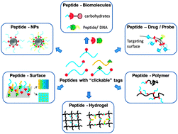 Graphical abstract: “Click” reactions: a versatile toolbox for the synthesis of peptide-conjugates
