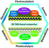 Graphical abstract: Two-dimensional transition metal dichalcogenide nanosheet-based composites