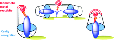 Graphical abstract: Biomimetic cavity-based metal complexes