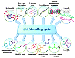 Graphical abstract: Self-healing gels based on constitutional dynamic chemistry and their potential applications