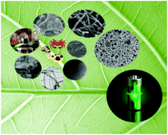 Graphical abstract: Sustainable carbon materials
