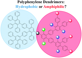 Graphical abstract: The polar side of polyphenylene dendrimers