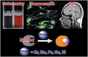 Graphical abstract: Fluorescent, MRI, and colorimetric chemical sensors for the first-row d-block metal ions
