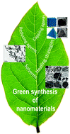 Graphical abstract: Green chemistry for nanoparticle synthesis