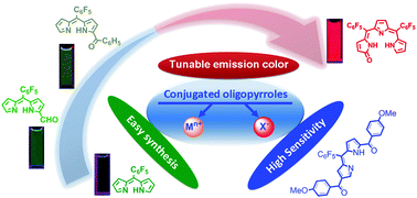 Graphical abstract: Fluorescent and colorimetric ion probes based on conjugated oligopyrroles
