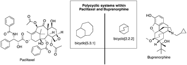 Graphical abstract: Pharmaceuticals that contain polycyclic hydrocarbon scaffolds
