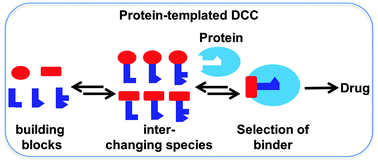 Graphical abstract: Dynamic combinatorial chemistry: a tool to facilitate the identification of inhibitors for protein targets
