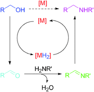 Graphical abstract: Substitution of alcohols by N-nucleophiles via transition metal-catalyzed dehydrogenation
