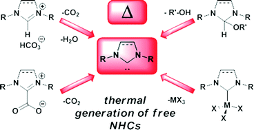Graphical abstract: Liberation of N-heterocyclic carbenes (NHCs) from thermally labile progenitors: protected NHCs as versatile tools in organo- and polymerization catalysis