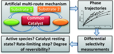 Graphical abstract: Differential selectivity measurements and competitive reaction methods as effective means for mechanistic studies of complex catalytic reactions