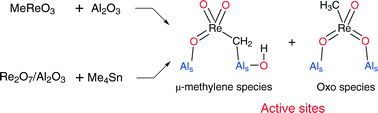 Graphical abstract: MeReO3/Al2O3 and Me4Sn-activated Re2O7/Al2O3 alkene metathesis catalysts have similar active sites