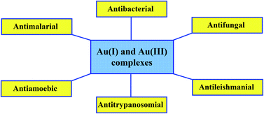 Graphical abstract: Gold complexes as antimicrobial agents: an overview of different biological activities in relation to the oxidation state of the gold ion and the ligand structure