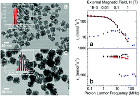 Graphical abstract: Colloidal assemblies of oriented maghemite nanocrystals and their NMR relaxometric properties