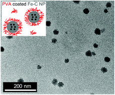 Graphical abstract: Aqueous stabilisation of carbon-encapsulated superparamagnetic α-iron nanoparticles for biomedical applications