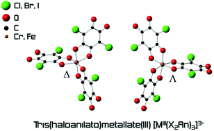 Graphical abstract: Halogen-bonding in a new family of tris(haloanilato)metallate(iii) magnetic molecular building blocks