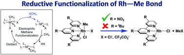 Graphical abstract: Reductive functionalization of a rhodium(iii)–methyl bond by electronic modification of the supporting ligand