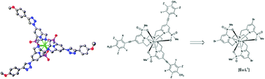 Graphical abstract: Utility of tris(4-bromopyridyl) europium complexes as versatile intermediates in the divergent synthesis of emissive chiral probes