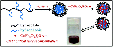 Graphical abstract: Application of hydrophobically modified water-soluble polymers for the dispersion of hydrophobic magnetic nanoparticles in aqueous media