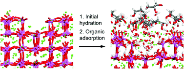 Graphical abstract: A force field for tricalcium aluminate to characterize surface properties, initial hydration, and organically modified interfaces in atomic resolution