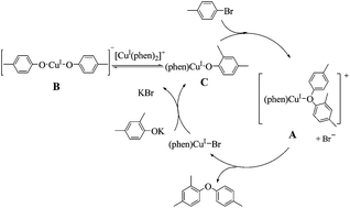 Graphical abstract: Possible intermediates of Cu(phen)-catalyzed C–O cross-coupling of phenol with an aryl bromide by in situ ESI-MS and EPR studies