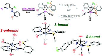 Graphical abstract: Tuning coordination modes of pyridine/thioether Schiff base (NNS) ligands to mononuclear manganese carbonyls