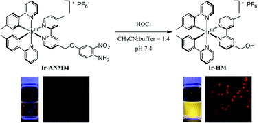 Graphical abstract: A highly selective and sensitive turn-on chemodosimeter for hypochlorous acid based on an iridium(iii) complex and its application to bioimaging