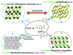 Graphical abstract: Synthesis, characterization and properties of a family of lead(ii)–organic frameworks based on a multi-functional ligand 2-amino-4-sulfobenzoic acid exhibiting auxiliary ligand-dependent dehydration–rehydration behaviours