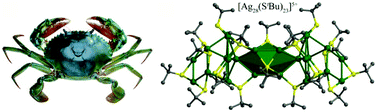 Graphical abstract: Self-assembly of an all-thiol-stabilized {Ag28S23} high-nuclearity luminescent nanocluster with a “crab-like” shape