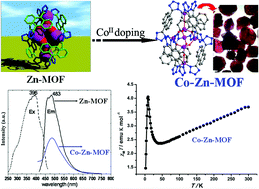 Graphical abstract: Doping cobalt into a [Zn7] cluster-based MOF to tune magnetic behaviour and induce fluorescence signal mutation