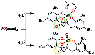 Graphical abstract: Vanadium complexes with multidentate amine bisphenols