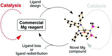 Graphical abstract: Catalytic bond forming reactions promoted by amidinate, guanidinate and phosphaguanidinate compounds of magnesium