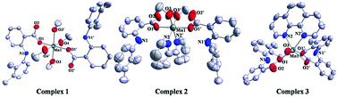Graphical abstract: Manganese-mefenamic acid complexes exhibit high lipoxygenase inhibitory activity