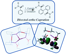 Graphical abstract: New avenues in the directed deprotometallation of aromatics: recent advances in directed cupration