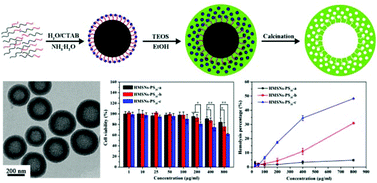 Graphical abstract: Synthesis of hollow mesoporous silica nanoparticles with tunable shell thickness and pore size using amphiphilic block copolymers as core templates