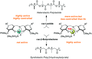 Graphical abstract: Scandium versus yttrium{amino-alkoxy-bis(phenolate)} complexes for the stereoselective ring-opening polymerization of racemic lactide and β-butyrolactone