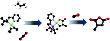 Graphical abstract: Nickel promoted functionalization of CO2 to anhydrides and ketoacids