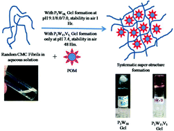 Graphical abstract: Encapsulation and stabilization of polyoxometalates in self-assembled supramolecular hydrogels