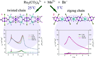 Graphical abstract: Isomeric chain structures of {[Mn(H2O)4]2Ru2(CO3)4Br2}nn−: syntheses, structural diversity and magnetic properties