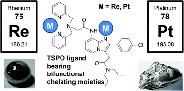Graphical abstract: Synthesis, characterization, and in vitro evaluation of new coordination complexes of platinum(ii) and rhenium(i) with a ligand targeting the translocator protein (TSPO)