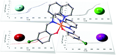 Graphical abstract: Stepped spin crossover in Fe(iii) halogen substituted quinolylsalicylaldimine complexes