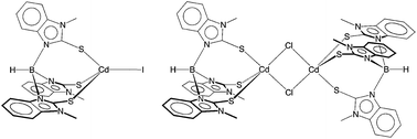 Graphical abstract: Synthesis and structural characterization of tris(2-mercapto-1-methylbenzimidazolyl)hydroborato cadmium halide complexes, {[TmMeBenz]Cd(μ-Cl)}2 and [TmMeBenz]CdI: a rare example of cadmium in a trigonal bipyramidal sulfur-rich coordination environment