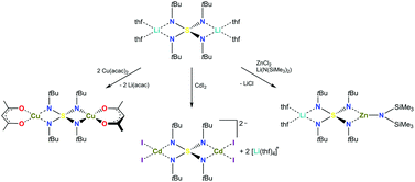 Graphical abstract: Transition metal complexes containing the S(NtBu)42− tetraimidosulfate dianion