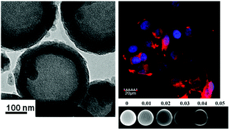 Graphical abstract: Multifunctional mesoporous hollow silica nanocapsules for targeted co-delivery of cisplatin-pemetrexed and MR imaging
