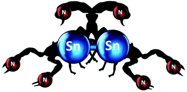 Graphical abstract: Direct synthesis of the Janus-head ligand (MePy)3Sn–Sn(MePy)3 using an unusual pyridyl-transfer reaction (MePy = 6-methyl-2-pyridyl)