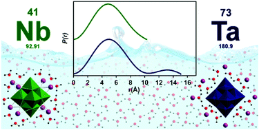 Graphical abstract: Contrasting ion-association behaviour of Ta and Nb polyoxometalates