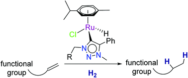 Graphical abstract: Half sandwich ruthenium(ii) hydrides: hydrogenation of terminal, internal, cyclic and functionalized olefins