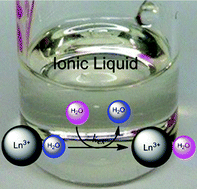 Graphical abstract: Water-exchange rates of lanthanide ions in an ionic liquid