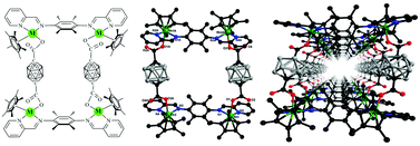 Graphical abstract: Construction of iridium and rhodium cyclometalated macrocycles based on p-carborane and N,N′-donor bridging ligands
