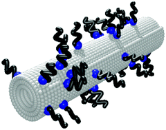 Graphical abstract: Dispersion of titanate nanotubes for nanomedicine: comparison of PEI and PEG nanohybrids